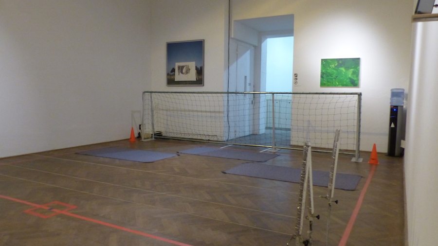 Wachkoma, Blindenfussball und Kunst