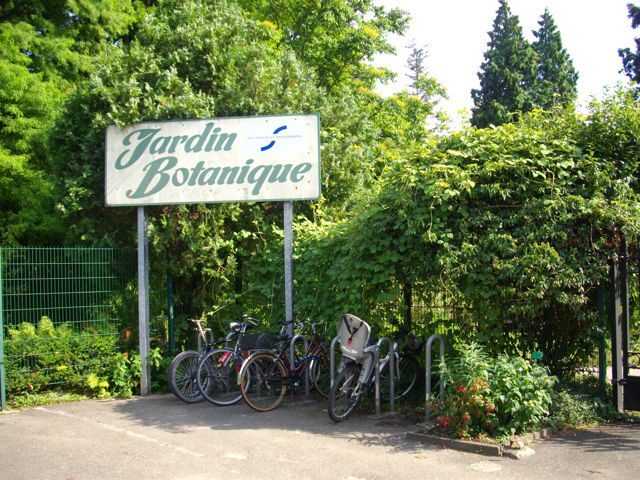 Der Eingang zum Botanischen Garten