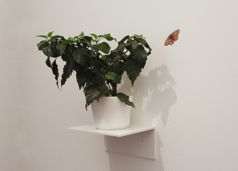 Kunst ist kein Heiligtum