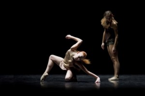 6. observation action de e. gat. bonr. photo jl tanghe