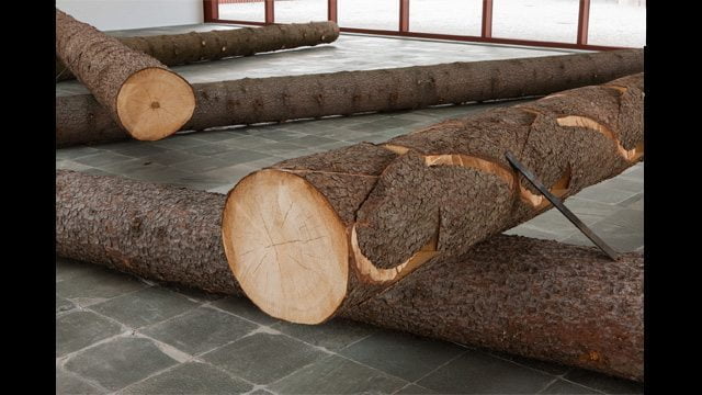 Ein Naturlehrpfad der Kunstgeschichte