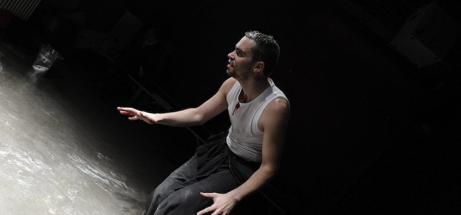 Wie Mücken im Licht