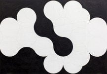 Franz Graf - WWR8ng flooRR