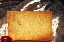 Moyra Davey Dédicace, 2013