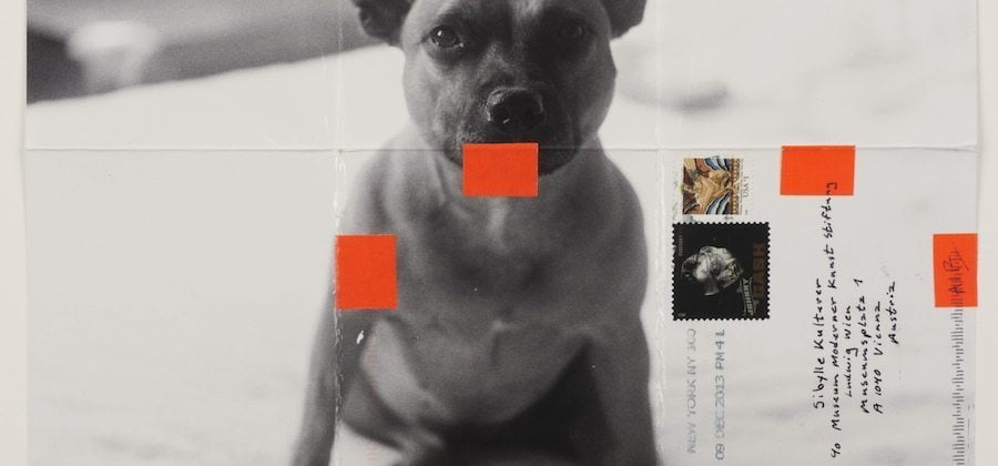 Zerschnittene Bücher und geklebte Bilder