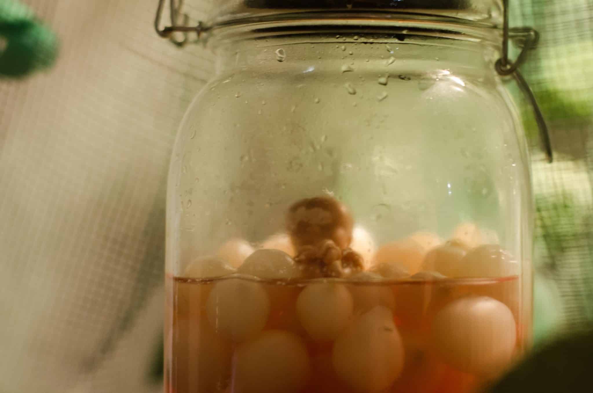 Verdammt, es ist nicht mehr weit weg