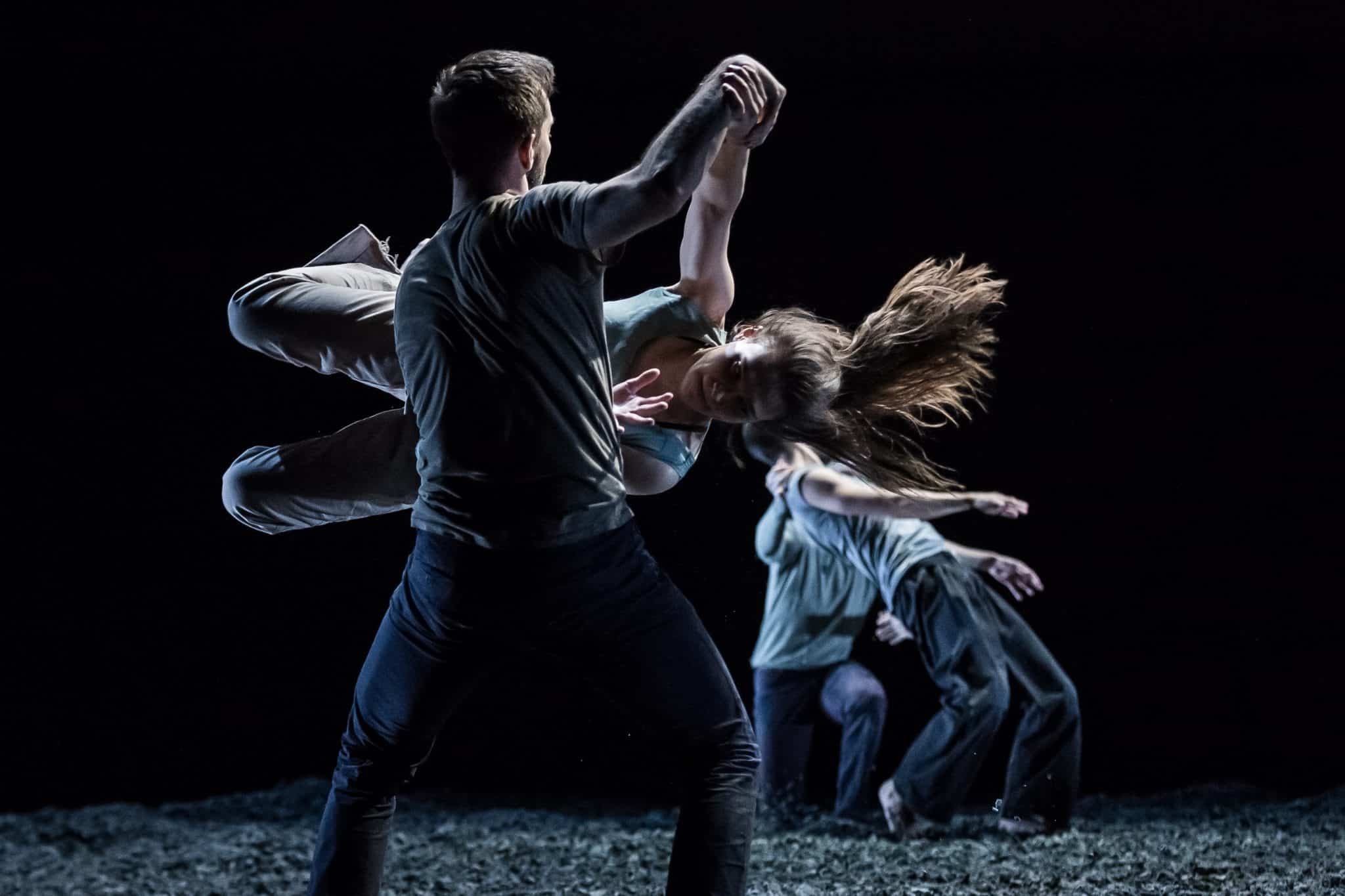 Máté Mészáros Hinoki (c) Dániel Dömölky