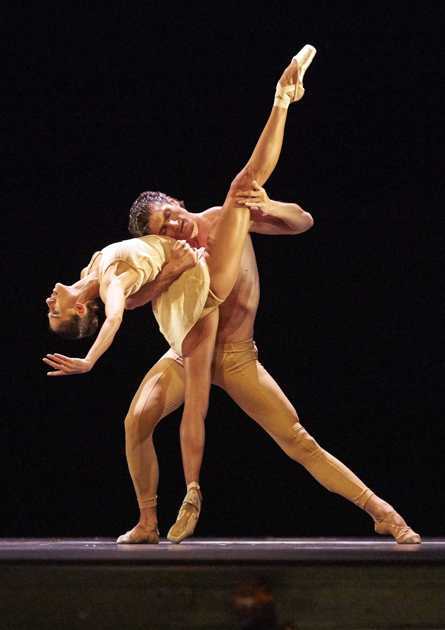 FoolsParadise 82765 AVRAAM PECI