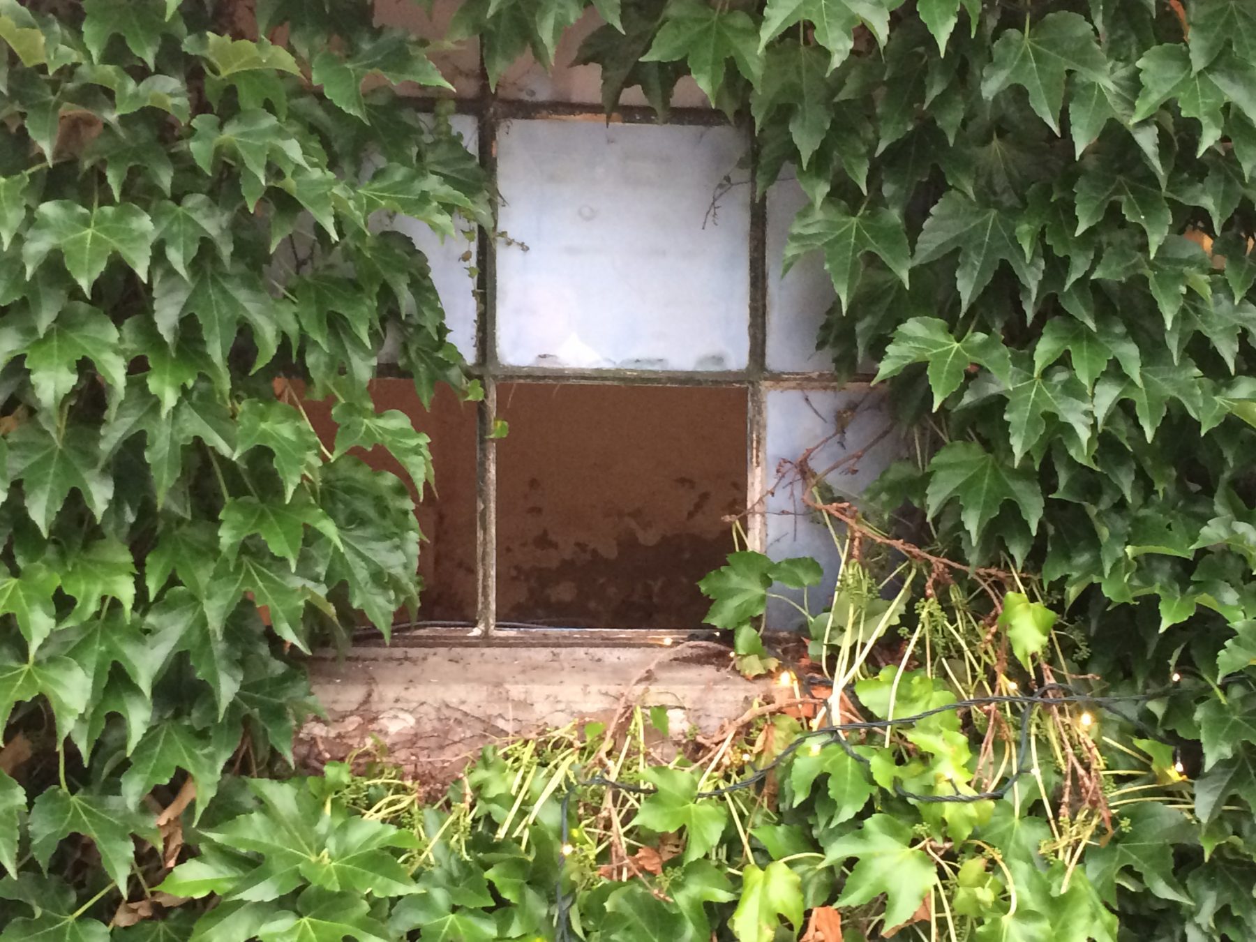 Altes Gelände, neue Kunst