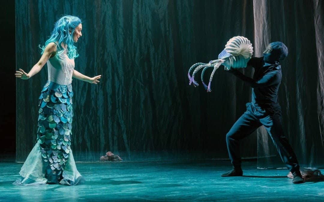 Spannende Abenteuer unter Wasser und auf dem Land