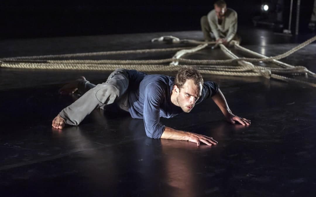 The beautiful Leviathan