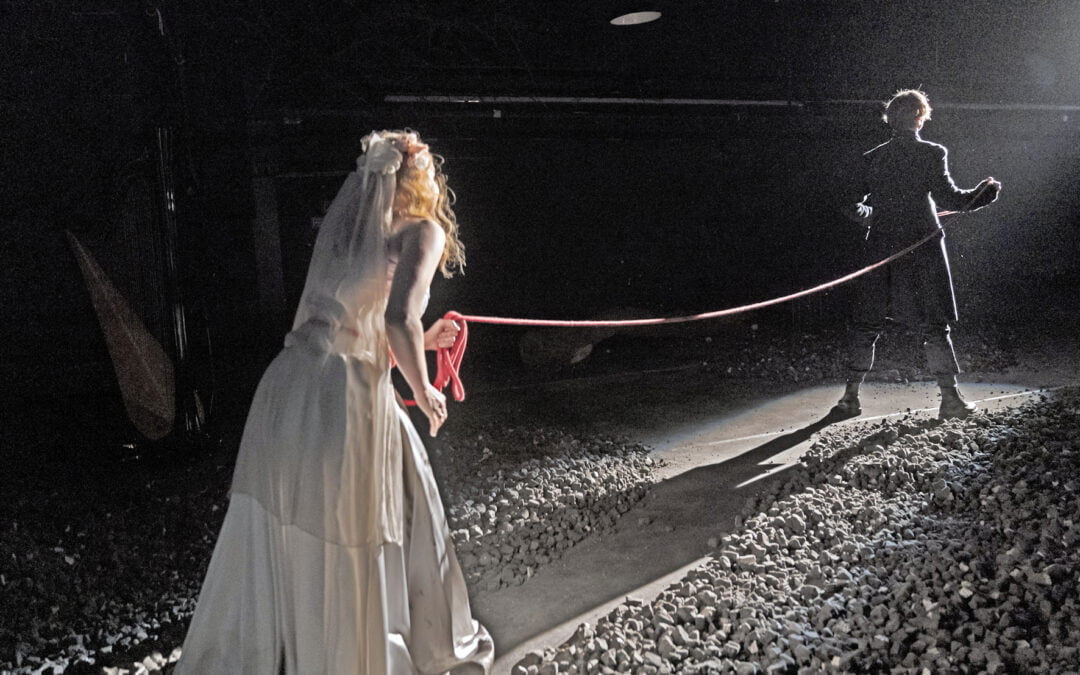 Von der Unvernunft, sich gegen den Tod zu stellen