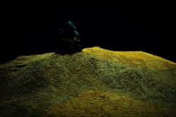 tumulus detailweb lescrisdeparis mandorleproductions