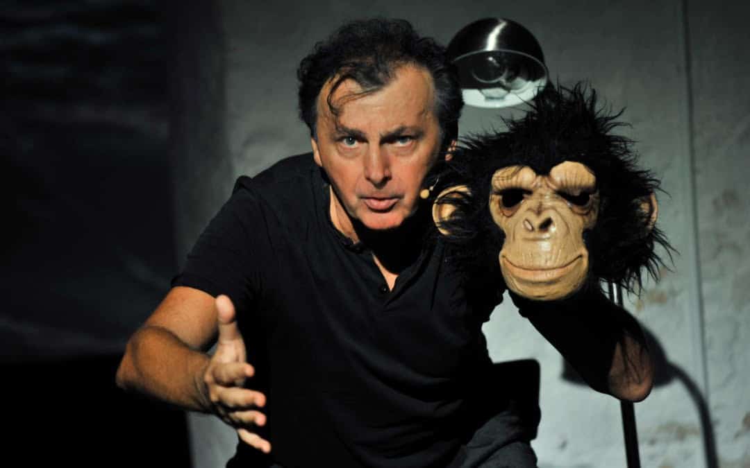 From the ape-like gait to the human jogging mania