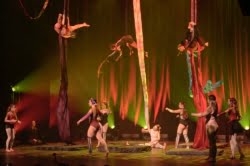 Doll House - Luftakrobatikkurs Erwachsene