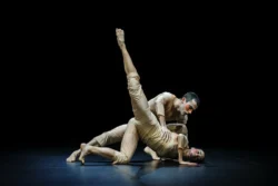 european cultural news.com leben und tanzen bis zur verausgabung SACRE Fieber Choreographie Louis Stiens Rosa Pace Diego del Rey copy Andreas Etter