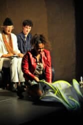 european cultural news.com wurmitzer meets charms Play Wurmitzer C Julia Kampichler ASC0233